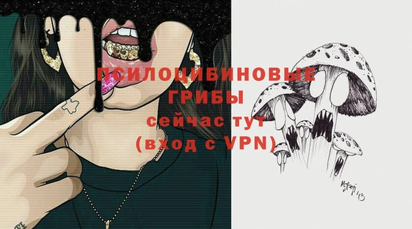 гидропоника Переславль-Залесский