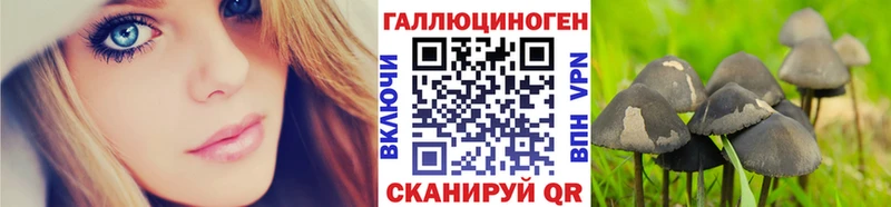 Псилоцибиновые грибы Cubensis даркнет сайт Сафоново